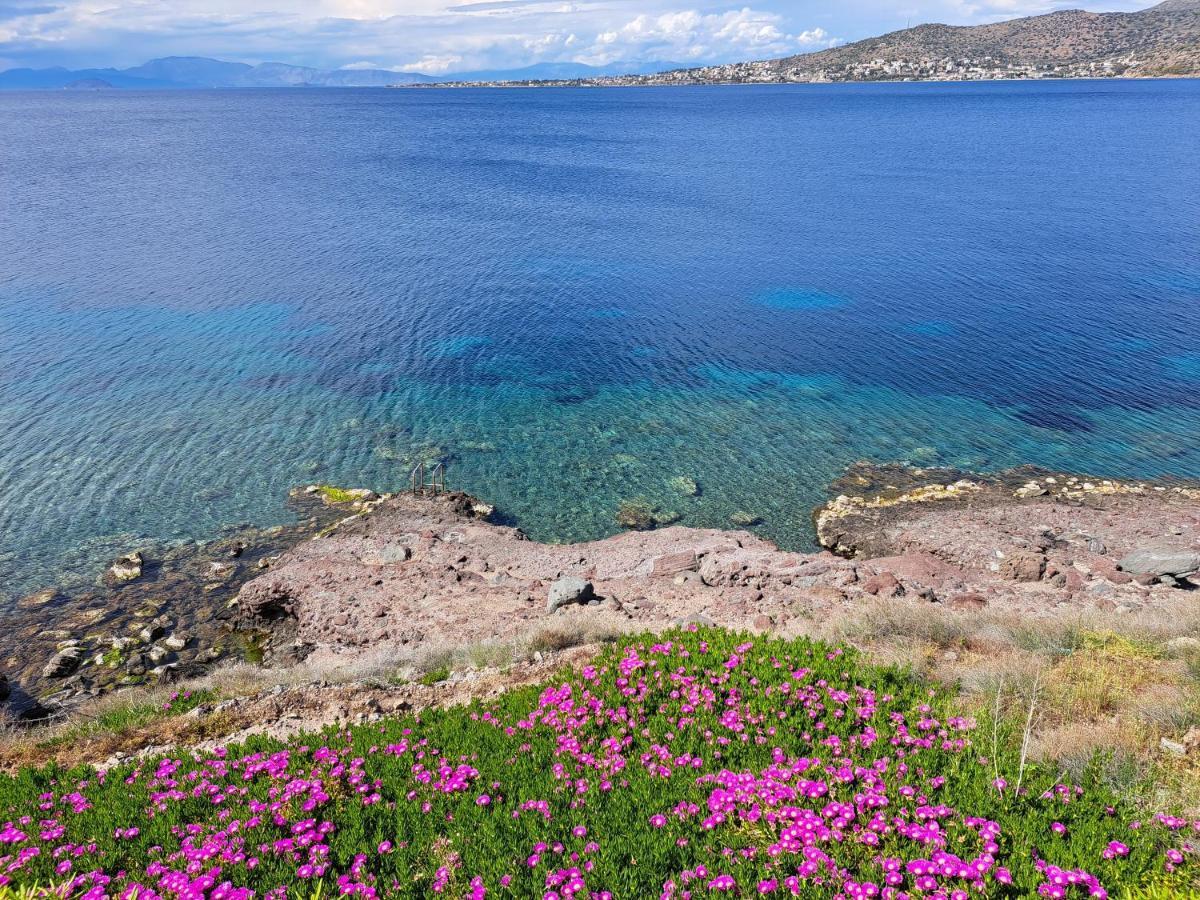 Villa Almyra Seaside Perdika  Exterior foto